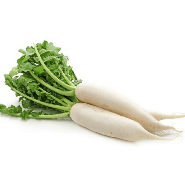 Radish (Mula)