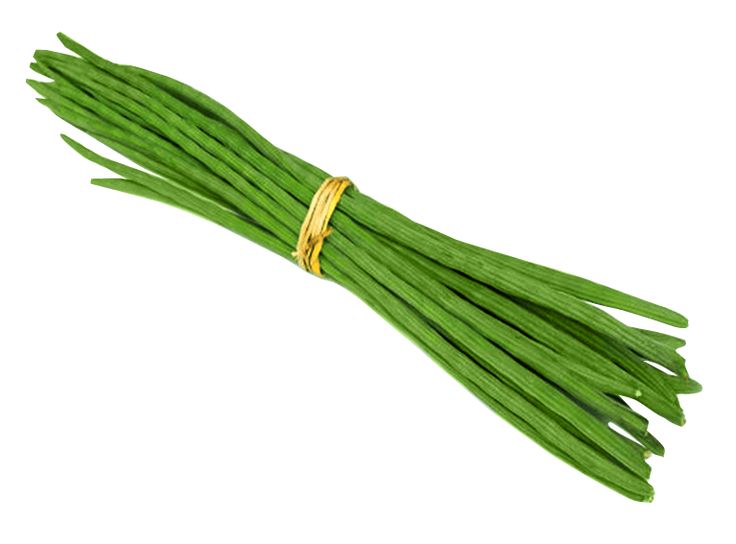 Shevga (Drumstick) Bunch