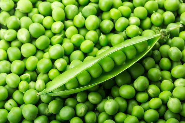 Vatana (Green Pea)