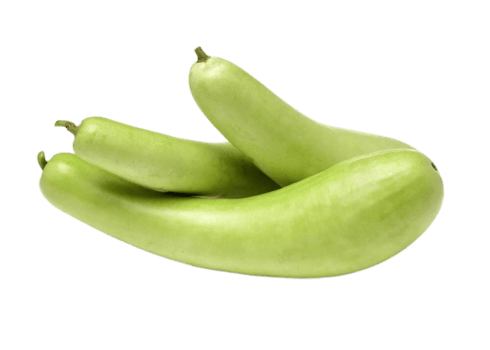 Dudhi (Bottle Gourd)