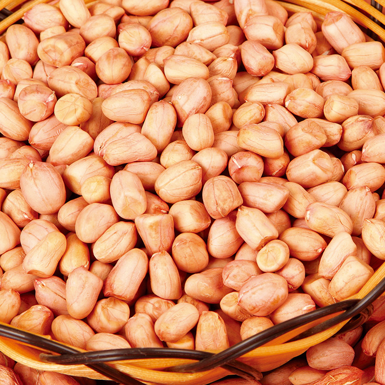 Shengdane (Peanut)