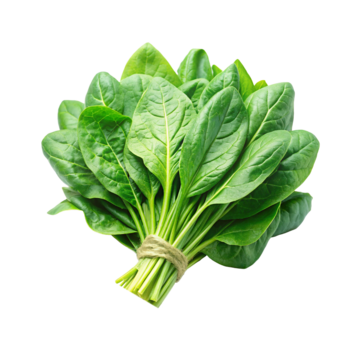Palak (spinach)