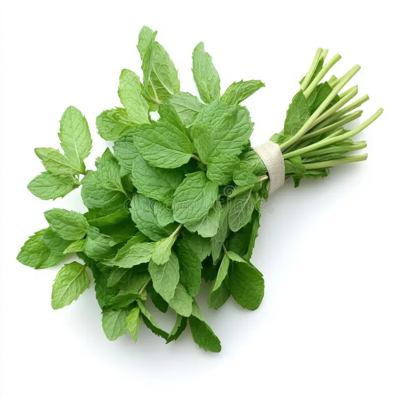 Mint / Pudina