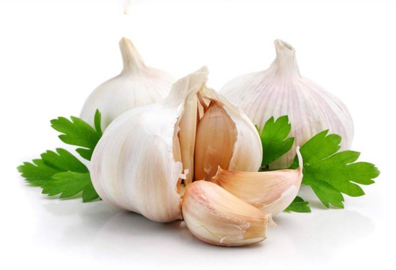 Garlic