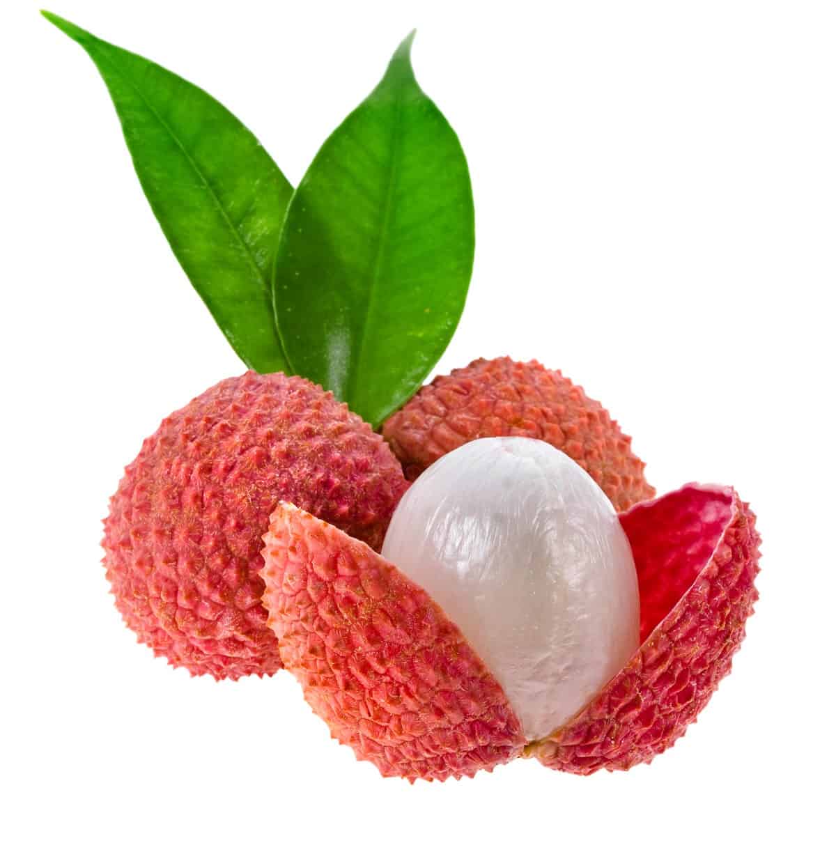 litchi fruit : 250 gm