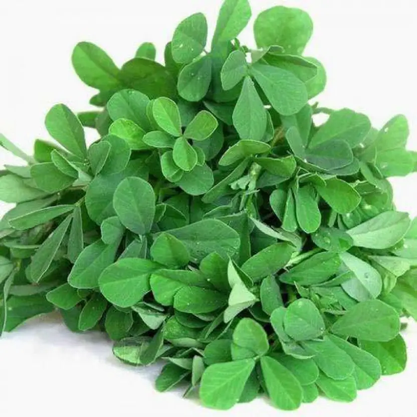Methi / Fenugreek Leaf